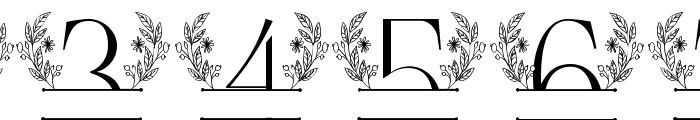 Blue Spring Line Monogram Font OTHER CHARS