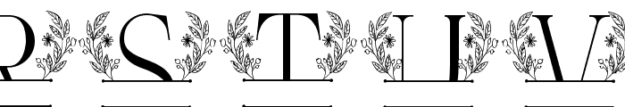 fontPreview