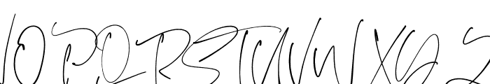 Boho Signature Script Font Font UPPERCASE