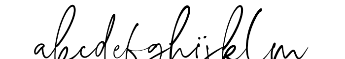Boho Signature Script Font Font LOWERCASE