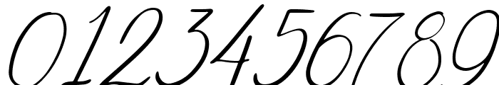 Bojan Signature Italic Font OTHER CHARS