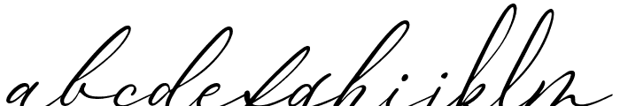 Bojan Signature Italic Font LOWERCASE