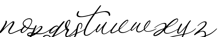 Bojan Signature Italic Font LOWERCASE
