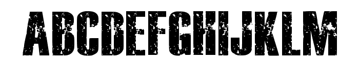 Bold Grunge Regular Font UPPERCASE