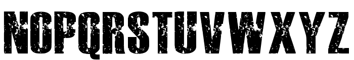 Bold Grunge Regular Font LOWERCASE