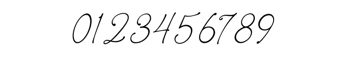 Bolivia Signature Font OTHER CHARS