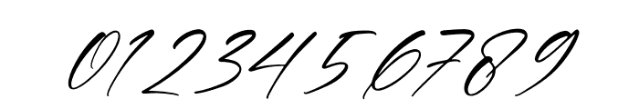 Bonefista Signate Italic Font OTHER CHARS