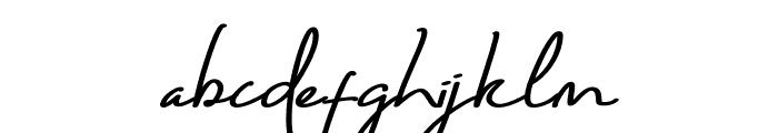 Bonjour De Jong Script Font LOWERCASE