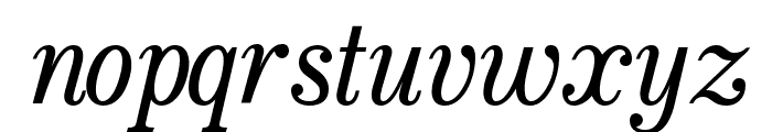 Bookseller Bk Regular Italic Font LOWERCASE