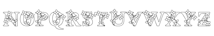 Botanic Decorative Font LOWERCASE