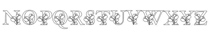 Botanical Display Font UPPERCASE