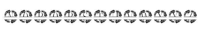 Botanique Split Monogram Font UPPERCASE