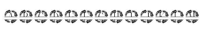 Botanique Split Monogram FONT