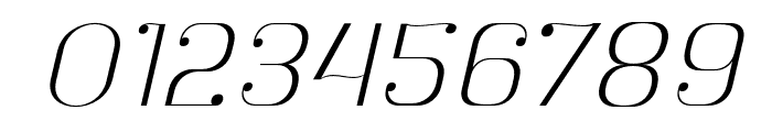 Botuna-ThinSlanted Font OTHER CHARS