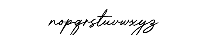 BradfordSignature Font LOWERCASE