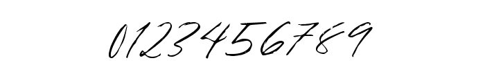 Bradley Signature Regular Font OTHER CHARS