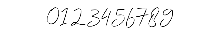 Brailes Signature Font OTHER CHARS