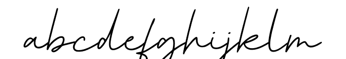 Bridger Signature Font LOWERCASE