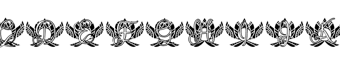 Bright Lotus Mandala Monogram Font UPPERCASE
