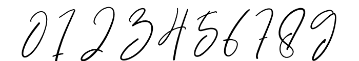 Brillian Signature Font OTHER CHARS