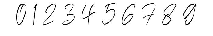 Brilliant Signature Font OTHER CHARS