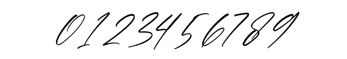 Brithan Signature Italic Font OTHER CHARS