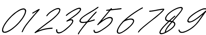 Britties Signature Italic Font OTHER CHARS