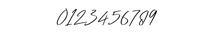 BrokenSignature Font OTHER CHARS
