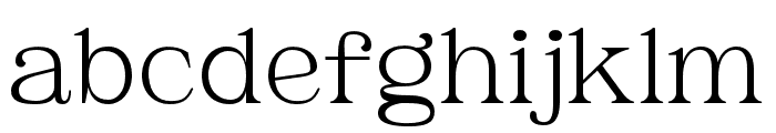 Brooklyn-ExtraLight Font LOWERCASE