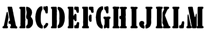 BrotherGarageSerif-Rough Font LOWERCASE