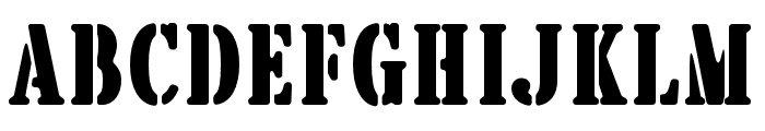 BrotherGarageSerif Font LOWERCASE