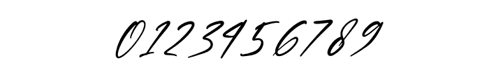 Brotherdam Signature Italic Font OTHER CHARS