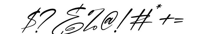Brotherdam Signature Italic Font OTHER CHARS