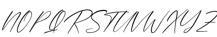 Brotherdam Signature Italic Font UPPERCASE