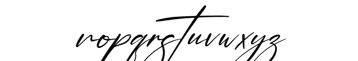 Brotherdam Signature Italic Font LOWERCASE