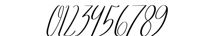 Brugundy Italic Font OTHER CHARS