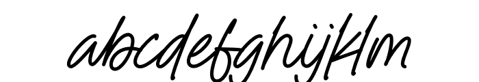 Budoin Script Font LOWERCASE