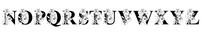 BukhariFlowerMonogram Font UPPERCASE