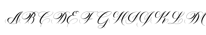 Burique-Italic Font UPPERCASE