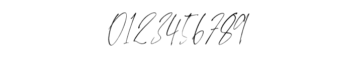 ButterSignature-Regular Font OTHER CHARS