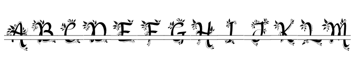 Butterfiel Monogram Font LOWERCASE