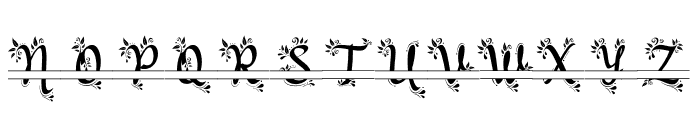 Butterfiel Monogram Font LOWERCASE