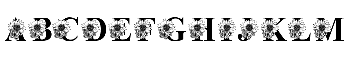 Butterfly and Sunflower Font LOWERCASE