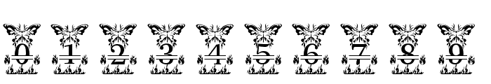 ButterflyFire Font OTHER CHARS