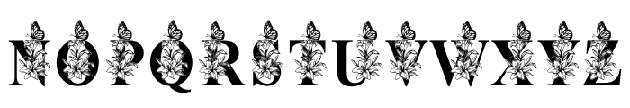 ButterflyLilyFlower Font UPPERCASE