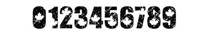 CANADA GRUNGE Font OTHER CHARS