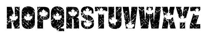 CANADA GRUNGE Font LOWERCASE
