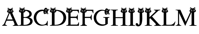 CAT  BLACK Font UPPERCASE