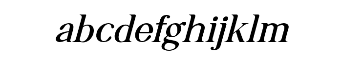 CF Ellara Domian Light Italic Font LOWERCASE