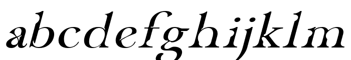 CF Havarti Ex Ob Short X-Height Font LOWERCASE